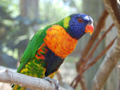 Click here to view at full resolution.