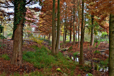 Click here to view at full resolution.