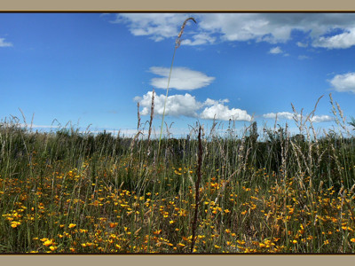 Click here to view at full resolution.