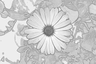Click here to view at full resolution.
