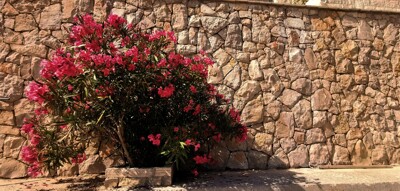 Click here to view at full resolution.