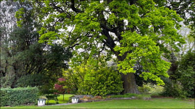 Click here to view at full resolution.