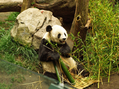 Click here to view at full resolution.