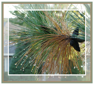 Click here to view at full resolution.