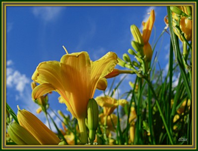 Click here to view at full resolution.