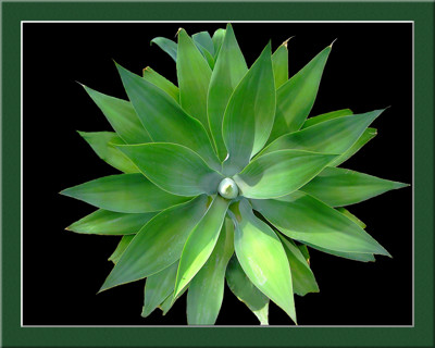 Click here to view at full resolution.