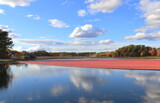 Cranberry Harvest View by Tomeast, photography->general gallery