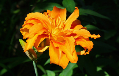 Click here to view at full resolution.