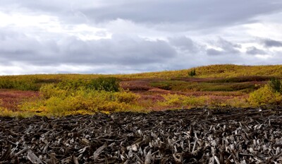 Click here to view at full resolution.