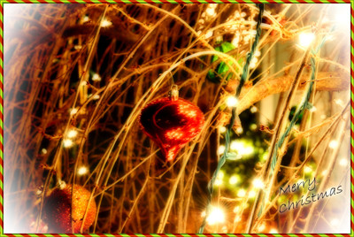 Click here to view at full resolution.