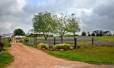 Texas Trip # 16 Home, Sweet Blue Bonnet Home by PatAndre, Photography->Landscape gallery