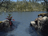 Taking A Drink by SoulSerpent, Computer->Landscape gallery