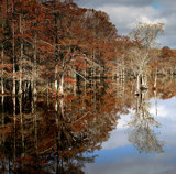 Mirror, Mirror On The Wall by PatAndre, Photography->Water gallery
