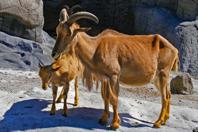 Click here to view at full resolution.