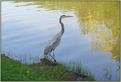 Click here to view at full resolution.