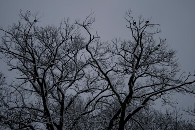 Click here to view at full resolution.