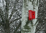 Will Spring Come Soon? by Starglow, photography->nature gallery
