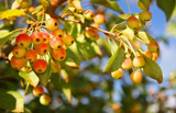 First Day of Autumn by jerseygurl, photography->nature gallery