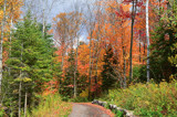 Fall Colours In Northern Ontario #1 by icedancer, photography->landscape gallery