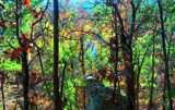 Country Fall Begins by RenieRenee, Photography->Landscape gallery