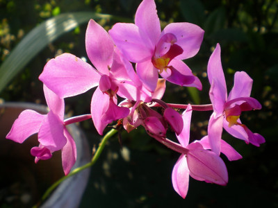 Click here to view at full resolution.