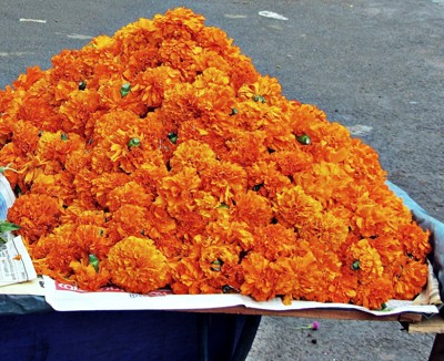 Click here to view at full resolution.