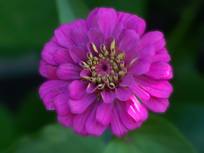 Click here to view at full resolution.
