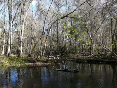 Click here to view at full resolution.