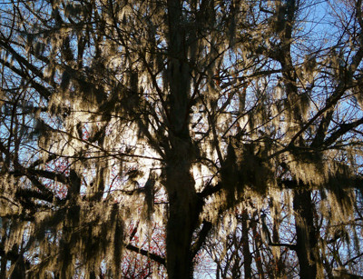 Click here to view at full resolution.