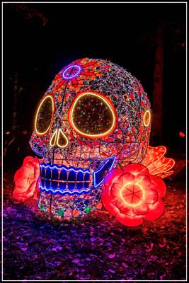 Click here to view at full resolution.