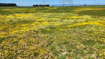 Click here to view at full resolution.