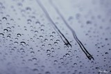 Raindrops by jamcivic, photography->water gallery