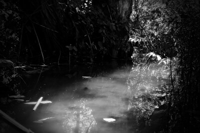 Click here to view at full resolution.