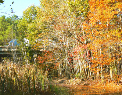 Click here to view at full resolution.