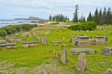 Norfolk Island Cemetery by flanno2610, photography->shorelines gallery