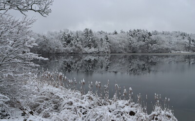 Click here to view at full resolution.