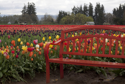 Click here to view at full resolution.