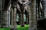 Forest of Dean - Column Intricacies by Homtail, photography->castles/ruins gallery