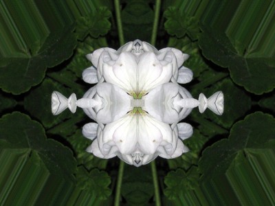 Click here to view at full resolution.
