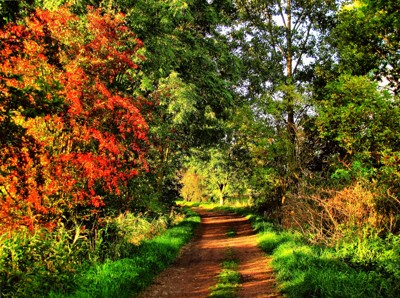 Click here to view at full resolution.