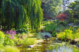 Early Summer by Ramad, photography->gardens gallery