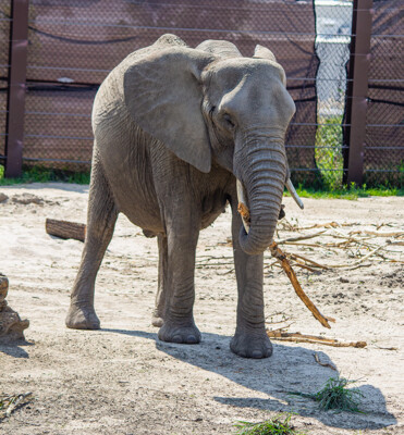 Click here to view at full resolution.