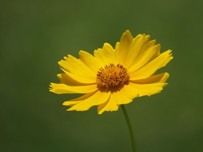 Click here to view at full resolution.