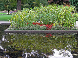 Park Reflections by Ramad, photography->gardens gallery