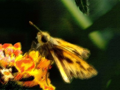 Click here to view at full resolution.