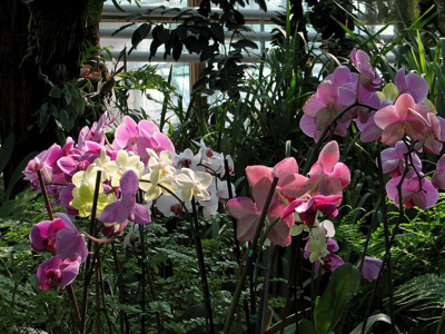 Click here to view at full resolution.