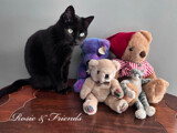 Rosie &amp; Friends by tigger3, photography->pets gallery