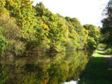 Autumn Reflected by Novice, Photography->Landscape gallery