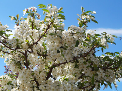 Click here to view at full resolution.