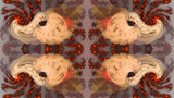 Julia's Dream by Flmngseabass, abstract->fractal gallery